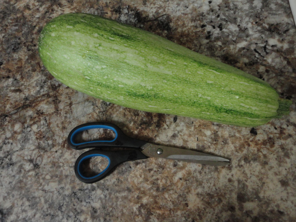 Huge Zucchini